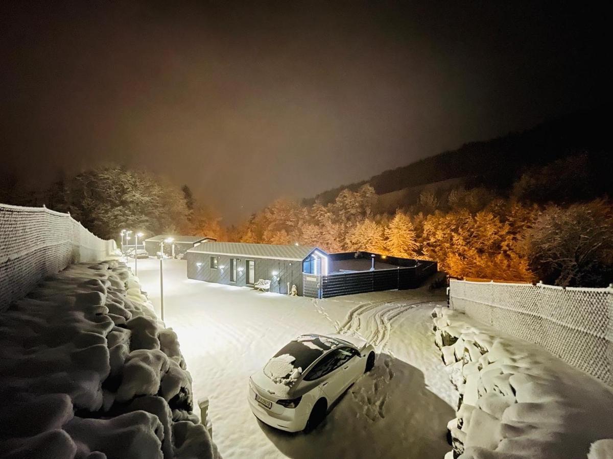 Traisen Voralpen Lodge - Ferienhaus Mit Gym & Wellnessbereich מראה חיצוני תמונה